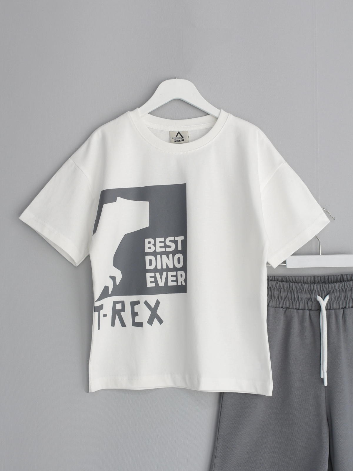 Roar Series Erkek Çocuk Oversize Kapri Tişört Takım - Dinazorlu Takım Gri | DobaKids