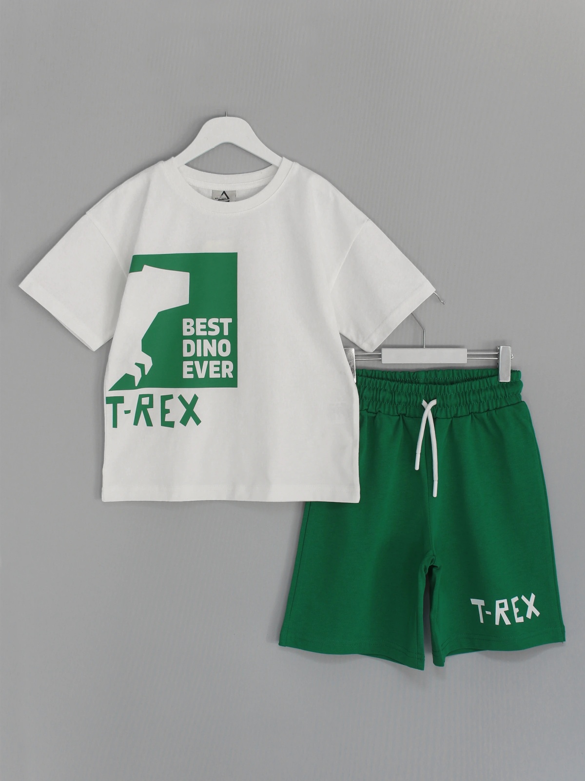 Roar Series Erkek Çocuk Oversize Kapri Tişört Takım - Dinazorlu Takım Yeşil | DobaKids