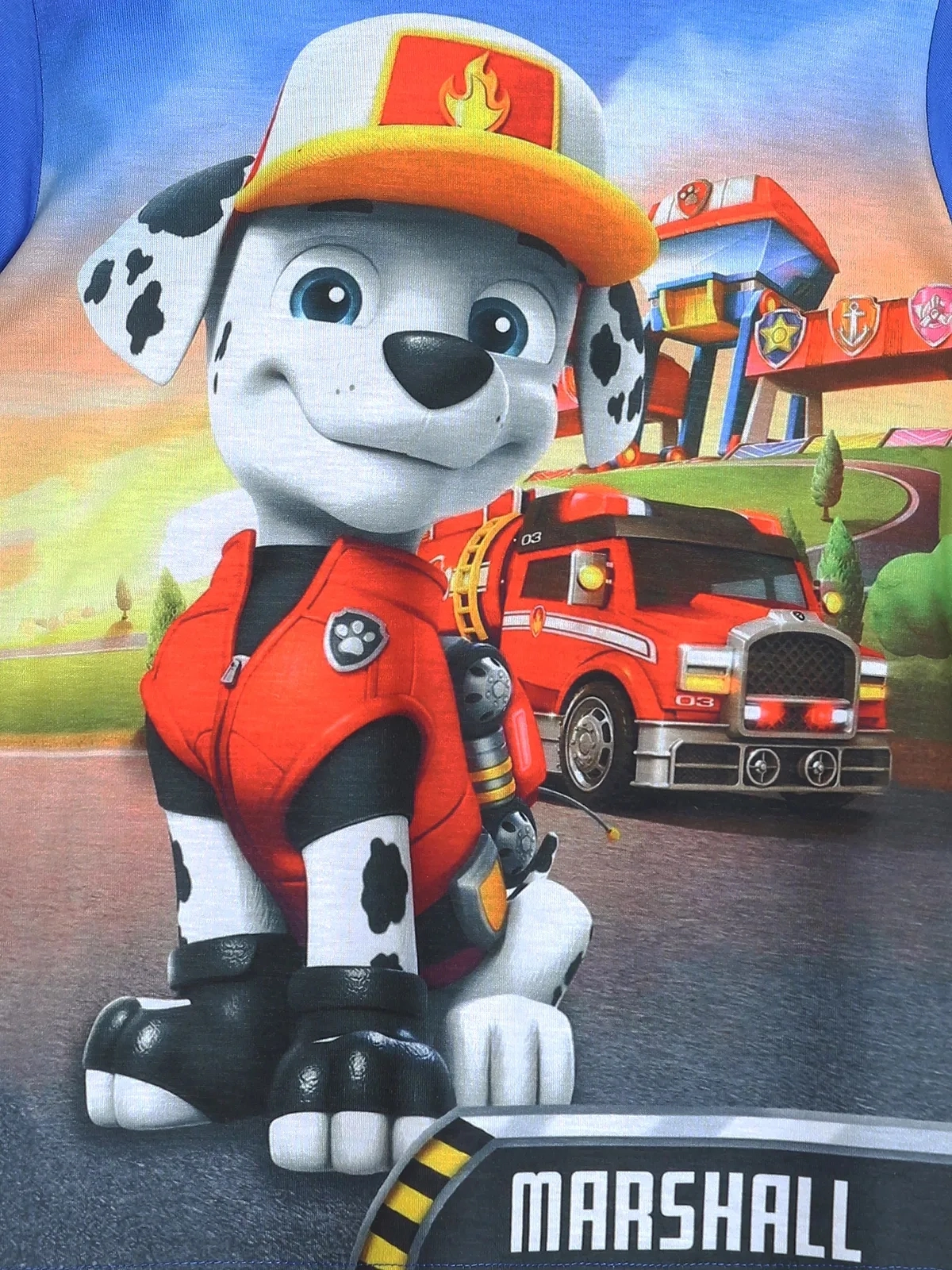 Paw Patrol Marshall Karakteri 3D Dijital Baskılı Mavi Renk Erkek Çocuk Tişörtü - Ön Yüz Yakın Çekim | DOBAKIDS